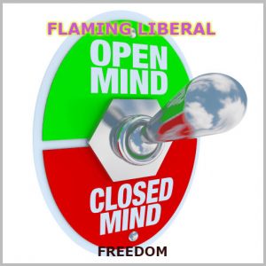 Flaming Liberal